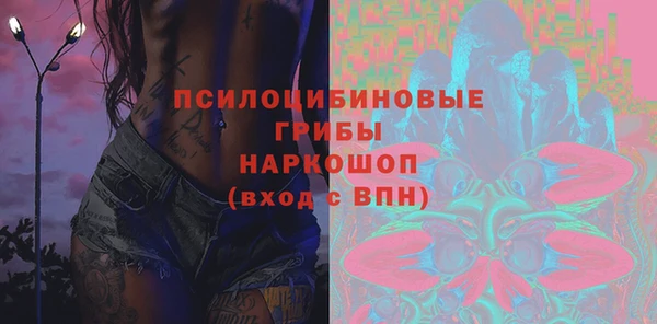 винт Елабуга