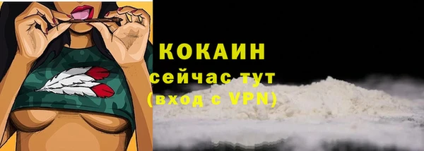 PSILOCYBIN Елизово