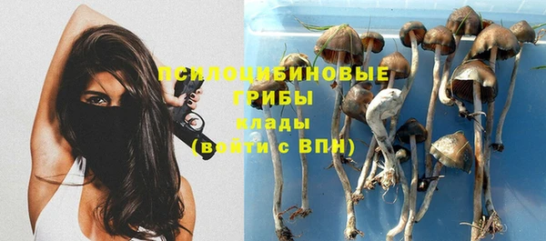 PSILOCYBIN Елизово