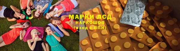 PSILOCYBIN Елизово