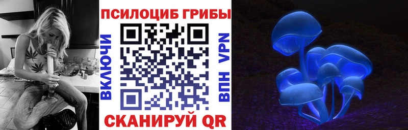 Псилоцибиновые грибы прущие грибы  Купить закладки  Нягань 